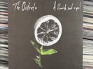 The Districts ‎– A Flourish And A Spoil VINYL LP RECORD ALBUM EX