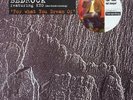 Bedrock Featuring KYO For What You Dream Of Vinyl Single 12inch NEAR MINT