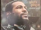 Marvin Gaye 1971 Original Pressing Lp Of What's Going On It's Graded A VG ++