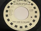 First Crow To The Moon: The Sun Lights Up The Shadows Of Your 45 - Psych Garage