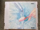 Yellow Magic Orchestra 