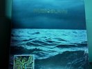 Audioslave – Out Of Exile -IVC Edition- Silver Color 2X Vinyl LP - 1166/3000