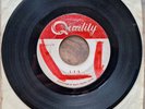The Haunted – 1 - 2 - 5  Garage 7 inch Canada vinyl Quality – 1814X