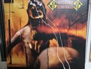 Machine Head Burn My Eyes 2LP Limited Vinyl Record Orange Copper Metal