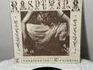 Rasputina Transylvanian Concubine Vaulted Eel 7” Vinyl Record Pic Sleeve Rare OG