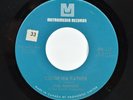 Metromedia Records - THE WINSTONS 