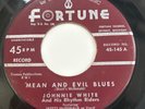 Johnnie White - Mean And Evil Blues - Original USA Fortune 7