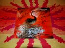 Depeche Mode - Speak & Spell Full signed 1981 German Vinyl LP INT 146 801