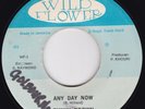Reggae--Funky Brown – Any Day Now / Sudden Stop   HEAR