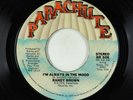 70s Soul 45 - Randy Brown - I'm Always In The Mood - Parachute VG+