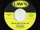 Northern Soul 45 - Bob Meyer - You've Got To Tell Me - Lawn VG+
