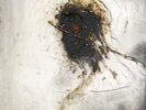 Peter Gabriel Passion: Music for the Last Temptation of Christ (Vinyl) 12