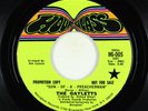 Reggae/Deep Soul Islands 45 - Gayletts - Son Of A Preacher Man - Hourglass VG+