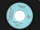 GARAGE PSYCH FUZZ 45 - CRYSTAL RAIN - YOU AND ME -  HEAR - 1969 DYNAMIC SOUND