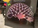 RAMP - Come Into Knowledge (2018) Blue Thumb Records RARE Vinyl 1LP NEW