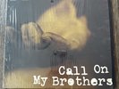 Ignite Call On My Brothers LP 1995 Original US 1st Press Conversion Records