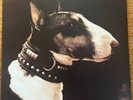 Pixies 