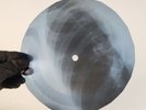 BOB DYLAN LAY LADY LAY X-Ray USSR Record Roentgen Bone Ribs Music Vinyl