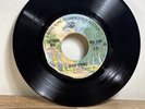 FLEETWOOD MAC VINYL 45 Rpm Go Your Own Way/Silver Springs   Only 1000 made