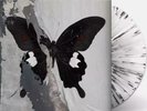 Death Cult – Paradise Now  LP Album vinyl record Limited splatter compilation