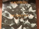 Kate Bush THE SINGLE FILE 1978-1983 vinyl 45rpm numbered limited edition box set