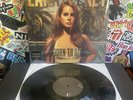LANA DEL REY Paradise VG++ VINYL WHYPE STICKER & SLIPCASE