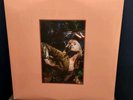 Hayley Williams – Flowers For Vases & Petals For Armor - 3 x LP Vinyl 12