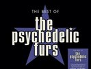 Best of [180-Gram Black Vinyl] by Psychedelic Furs (Record, 2021)