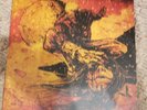 TENCHU Stealth Assassin Soundtrack Vinyl 2LP Not moonshake VGM Video game