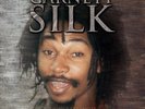 Garnett Silk - Give I Strength (LP) (Very Good Plus (VG+)) - 3804265421