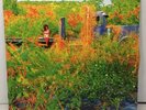 Jhené Aiko Trip Def Jam/ArtClub 2 x Translucent Orange Vinyl LP US 2017 NM-