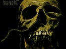 Message - From Books & Dreams (Vinyl LP - 2024 - EU - Original)