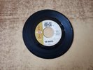 1960s GOOD+ The Dantes – Can't Get Enough Of Your Love / 80-96, 1314 45