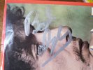 1980s VG++ SIGNED BY HAND - BOB DYLAN Heart Of Mine/Groom's Still Waiting At 45