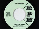 Garage 45 - Pebbles - Endless Tears - RPH - VG++ rare