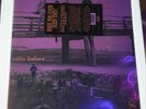 THE RISING STORM Calm Before... Mono Colored Vinyl LP SUNDAZED NEW/OPENED