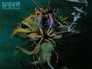 WEEN - The Mollusk  *GREEN VINYL *(Plain Records) LP rare