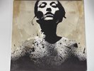Converge Jane Doe 2xLP 2010 Deathwish Equal Vision Records Reissue