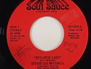 Stevie Lee Mitchell 