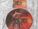 Ozzy Osbourne Ultimate Sin Picture Disc LP Shot in the Dark Irish Black Sabbath