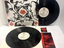 Red Hot Chili Peppers - Blood Sugar Sex 2LP - WB 468348 - Tested EX Vinyl - S8