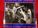 Youth Of Today  Break Down The Walls 1986 US OG Press Wishingwell Record WW4