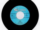 Sur-Speed 210 The Rogues / 