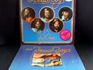 The Beach Boys 15 BIG ONES, Vinyl, 1st Pressing, Brother PROMO (1976) + Program