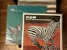 Hum  – You'd Prefer An Astronaut UK LP,  Limited Edition 1996