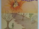 EDUARDO ARAUJO SILVINHA OPANIGE BRAZIL 1976 SOUL FUNK BREAKS LP BEVERLY BLP-9114