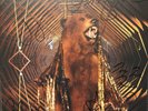 My Morning Jacket It Still Moves SIGNED BY FULL BAND 2 LP 1ST VINYL EDITION 2003