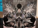 Dark Side of the Black Moon: What Planet Are We On  by Acid Mothers Temple 2xLP