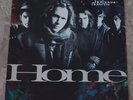 Hothouse Flowers Home 1990 LP Vinyl NM- Nice Original UK 828197-1 See Cleary Now