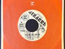 FRANK ZAPPA Tell Me You Love Me/ Would You Go EX+ 1970 PROMO 45 Bizarre/Reprise